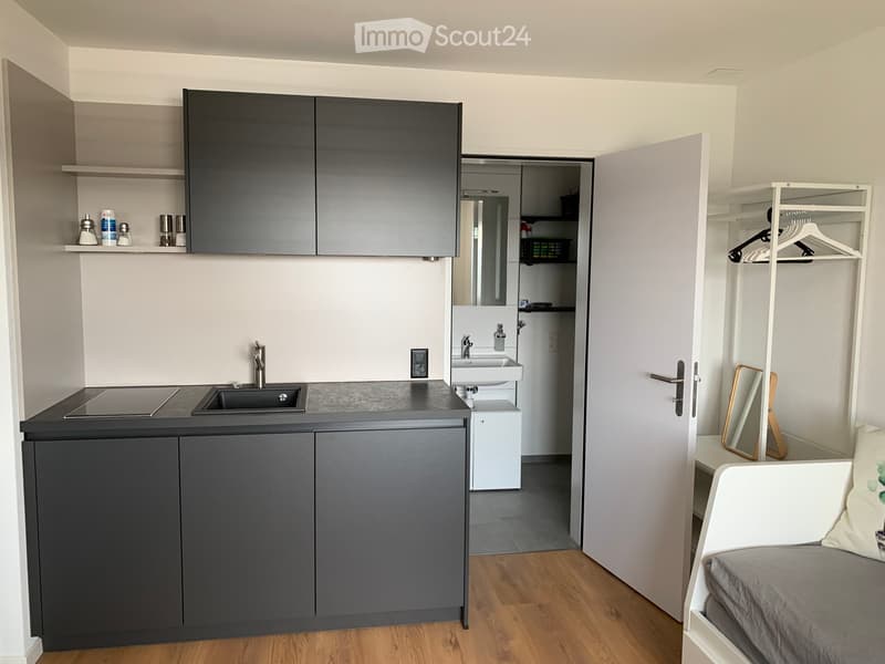 Furnished studio in Beringen SH with Alpine view (3)