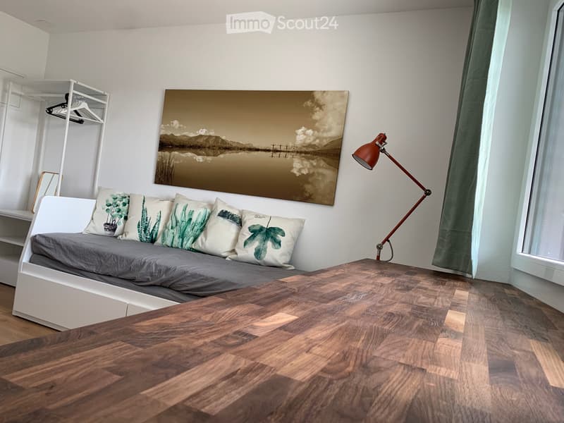 Furnished studio in Beringen SH with Alpine view (1)
