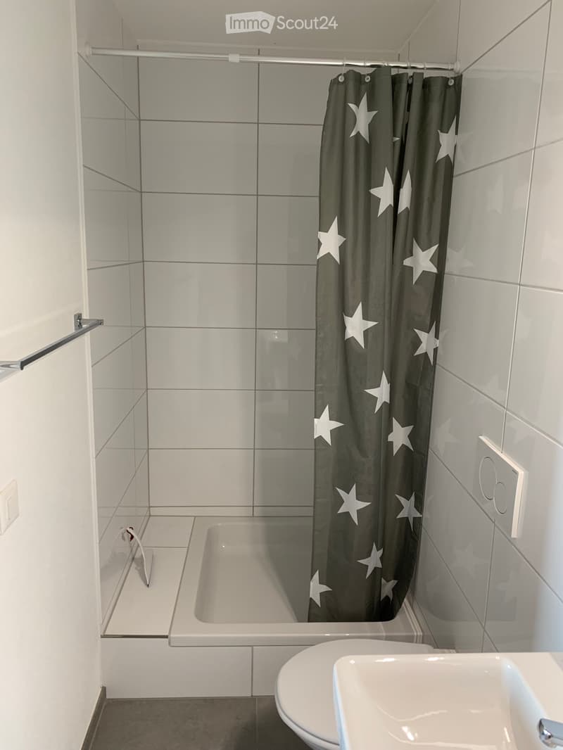 Furnished studio in Beringen SH with Alpine view (4)