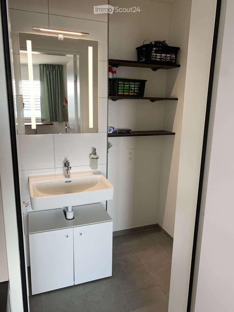 Furnished studio in Beringen SH with Alpine view (5)