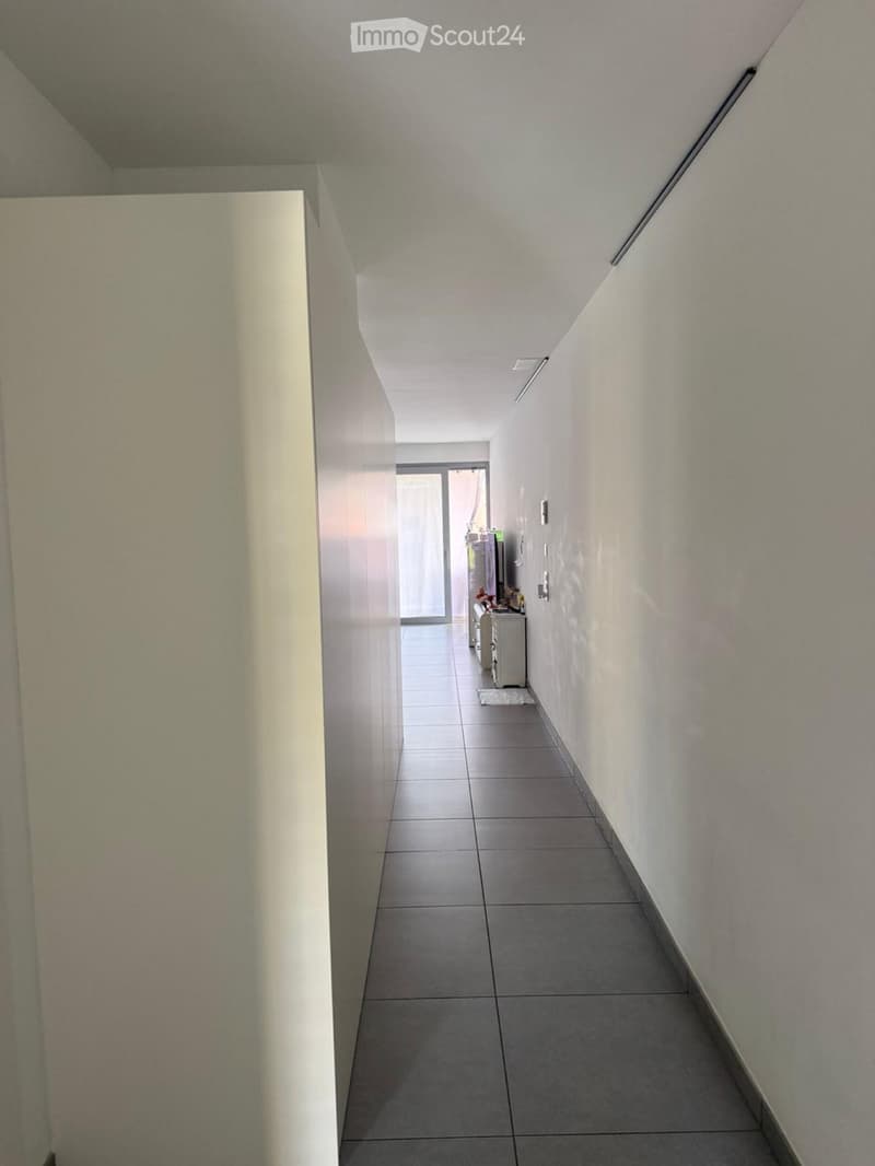 Cerco subentrante per appartamento a Bellinzona (3)