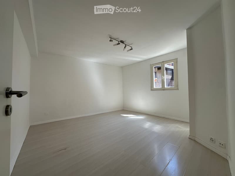 Maison unifamiliale à vendre à Viganello (4)
