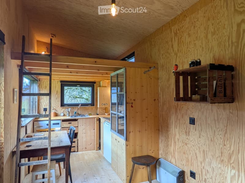 Tiny house à vendre (2)