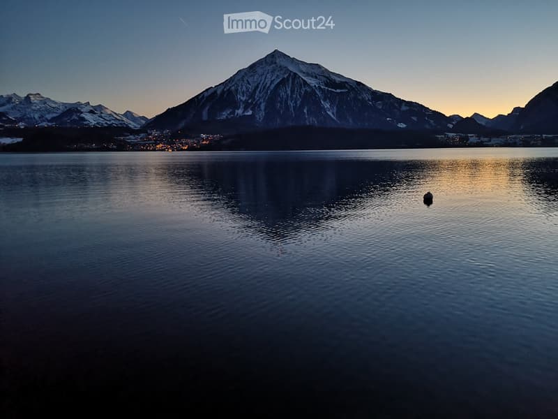 Villa on Lake Thun (3)