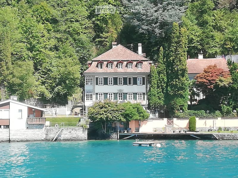Villa on Lake Thun (1)
