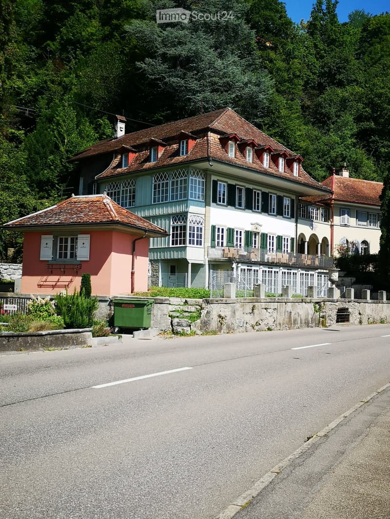 Villa on Lake Thun (2)