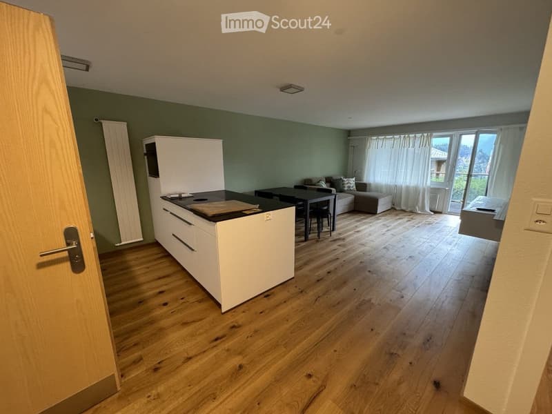 2 1/2 ZIMMER WOHNUNG VERMIETEN AN BESTER LAGE, SANIERT 2025 (3)