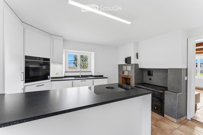 6.5-room single-family house for families or professionals (2)