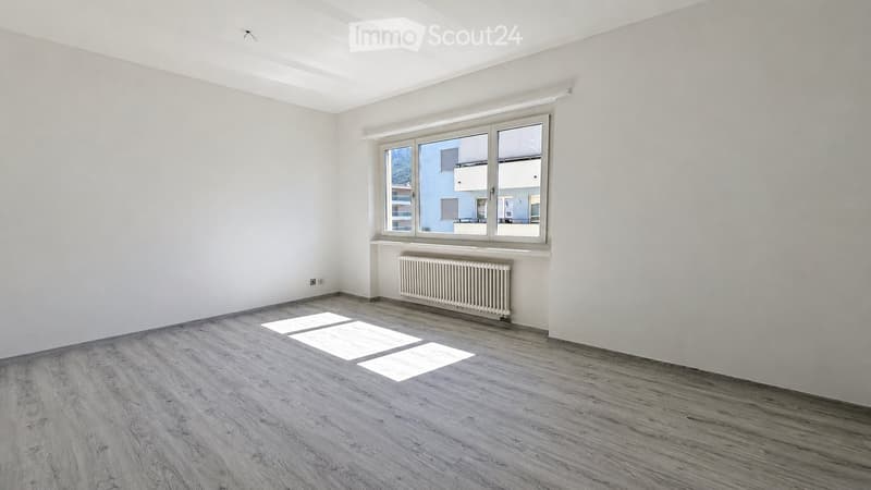 1.5 locali ristrutturato e moderno a Lugano (2)