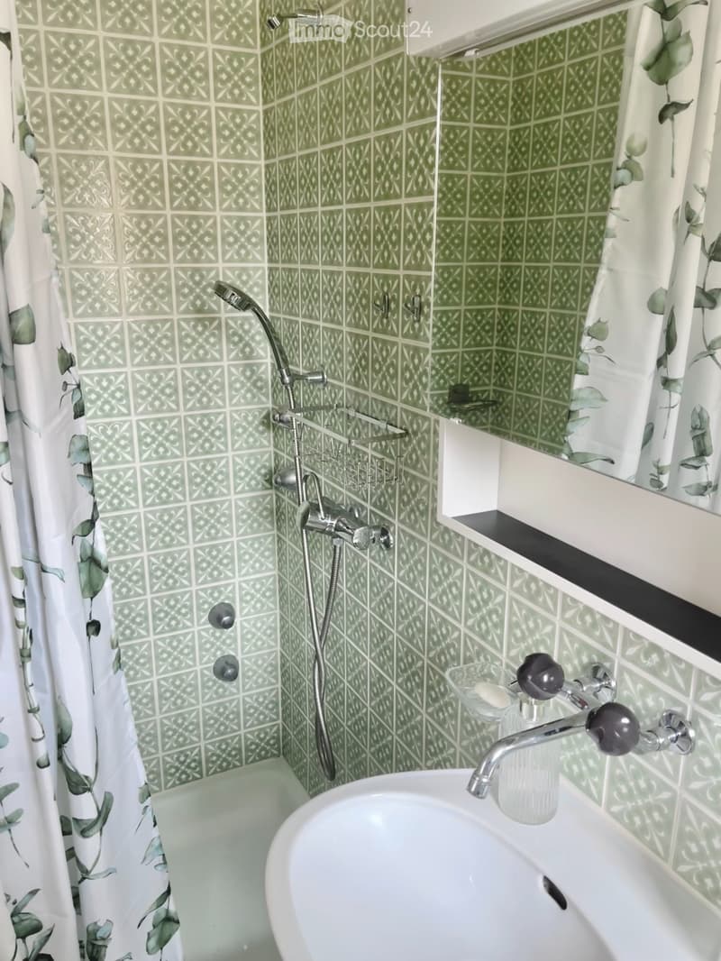 Cozy studio apartment on Zürichberg for one person (5)