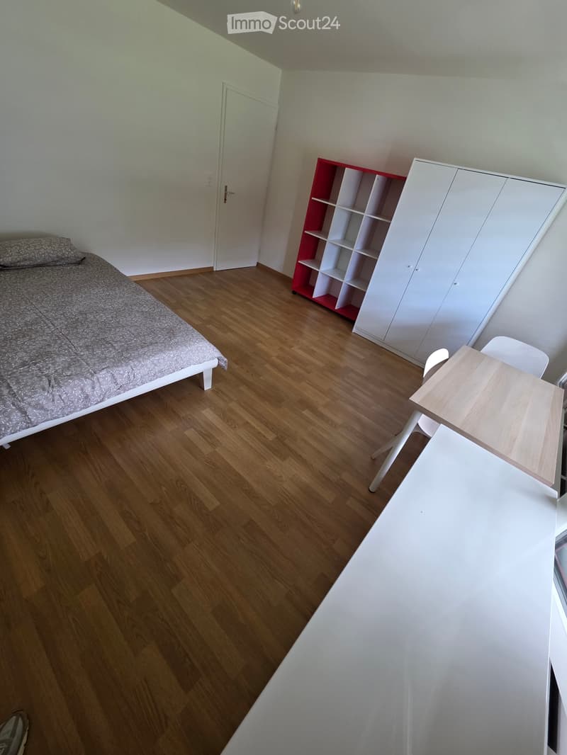 Chambre Disponible (2)