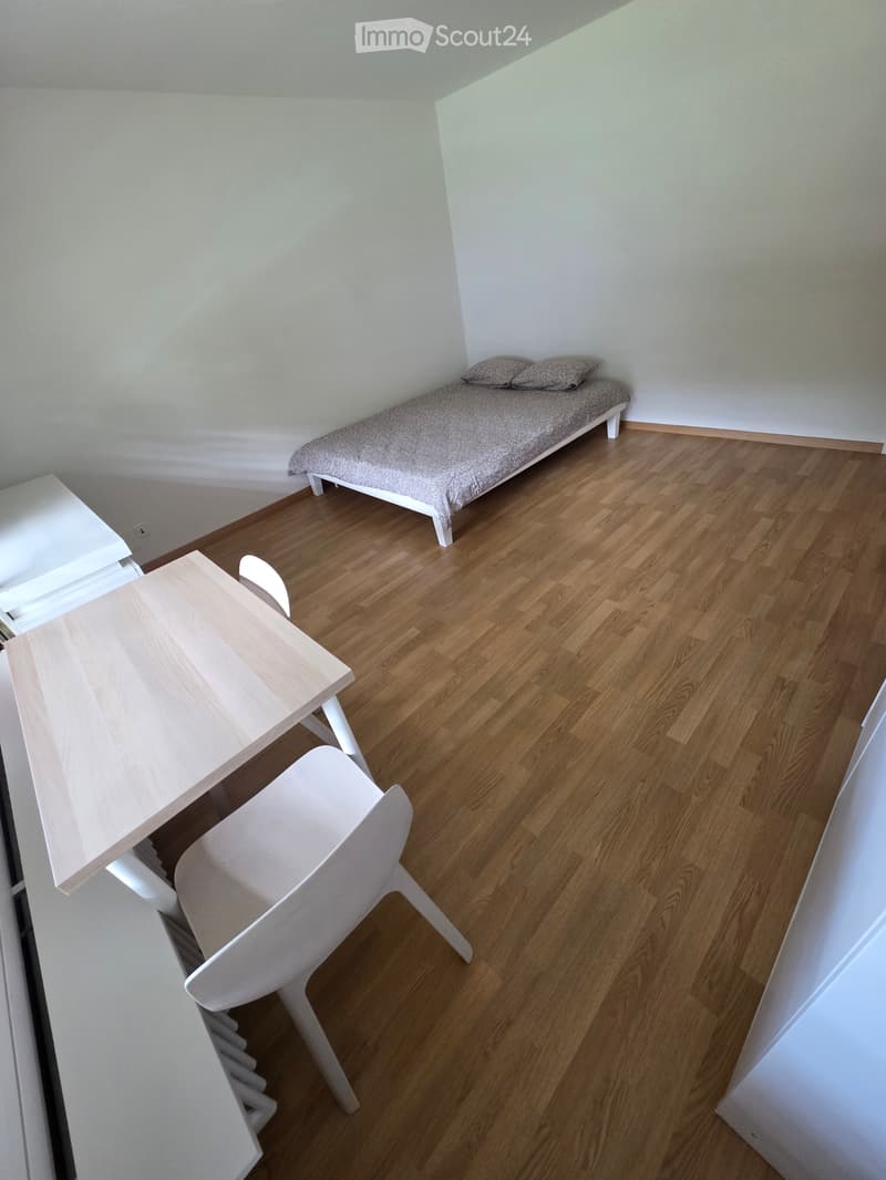 Chambre Disponible (3)