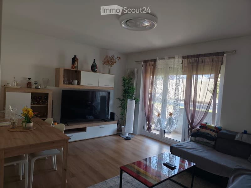 Untermieter für 3,5-Zimmer-Wohnung in Castione (1)