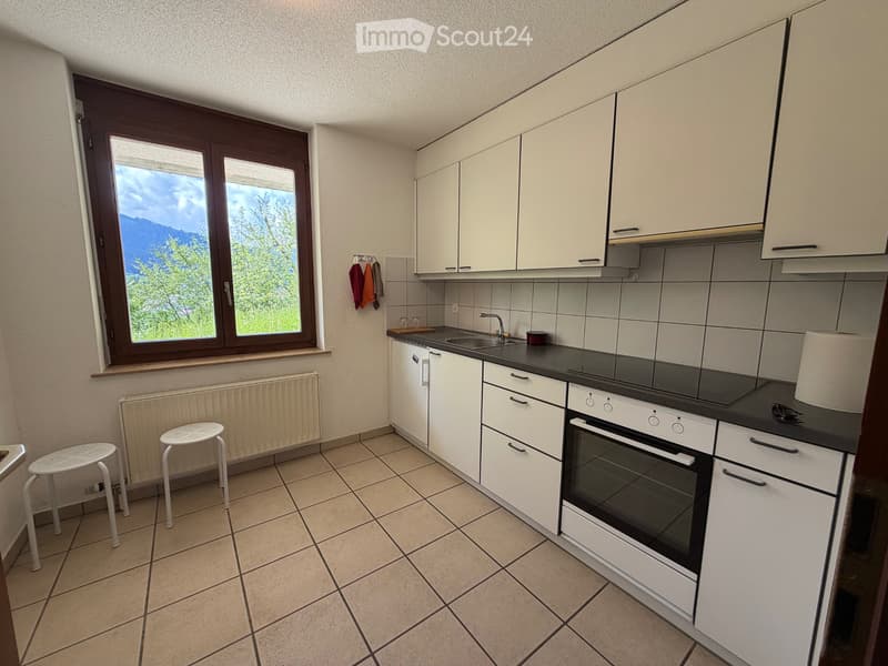 1.5p Terrasse & Parkplatz / 1.5p terrasse & parking Plasselb (3)