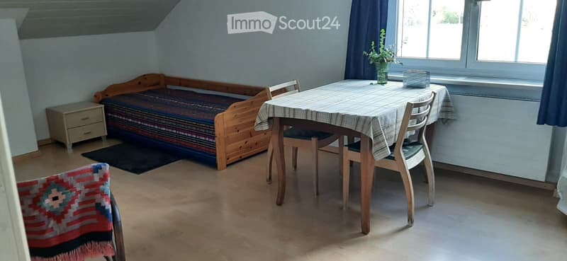 1 Zi-Whg per 1.9.2026 in Aesch BL an ruhigen Mann oder Frau (2)