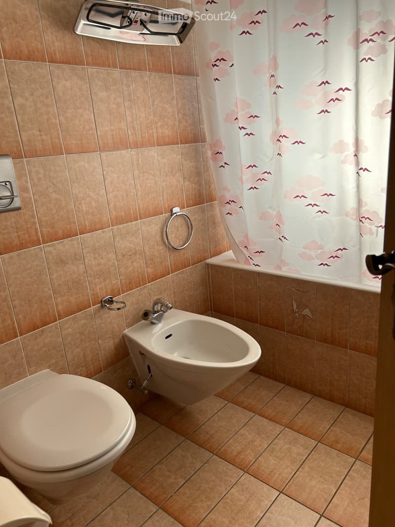 Affittasi stanza arredata in casa privata (3)