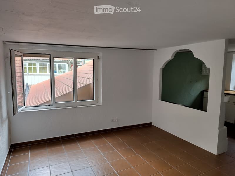 Appartamento di 2 camere accogliente e eccezionale in affitto (5)