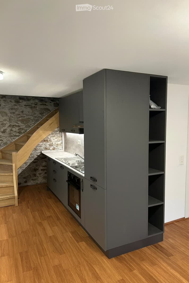 Mansarde de 3,5 pièces meublée à Roveredo San Giuli (1)
