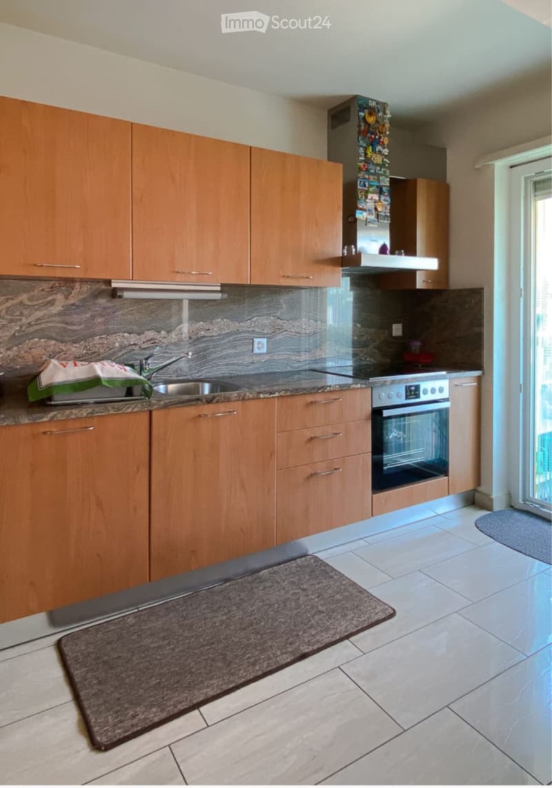 Appartamento 4.5 loc - Pregassona (3)