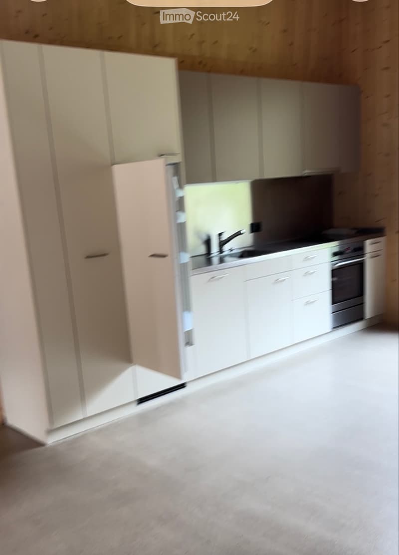 Appartamento di 4,5 locali con ampio balcone (4)