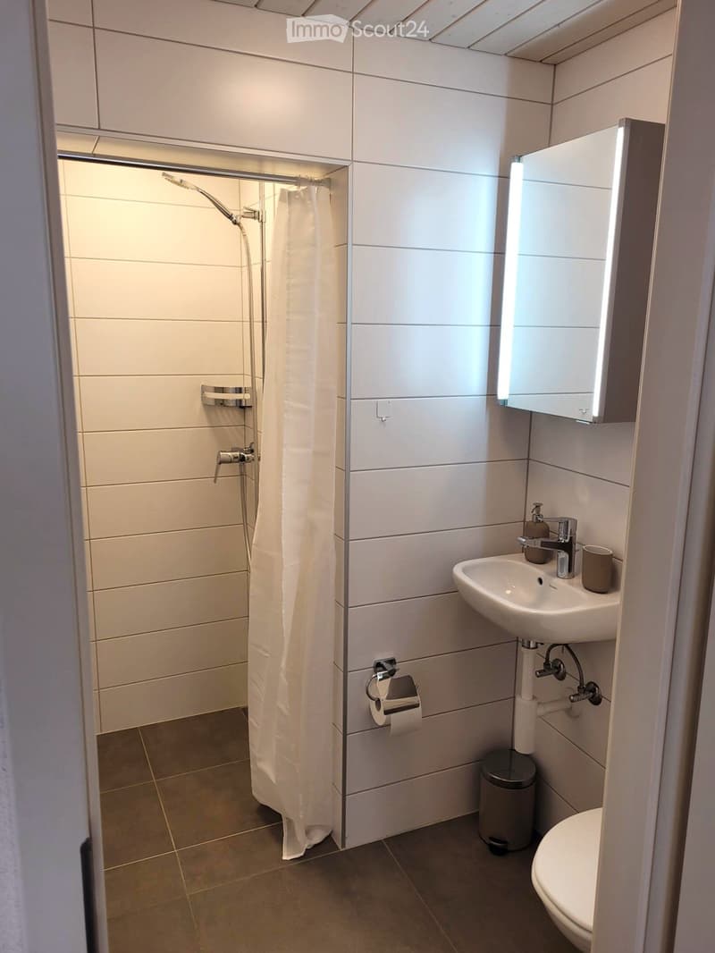 Couvet House with 4 apartments and rental income (11)