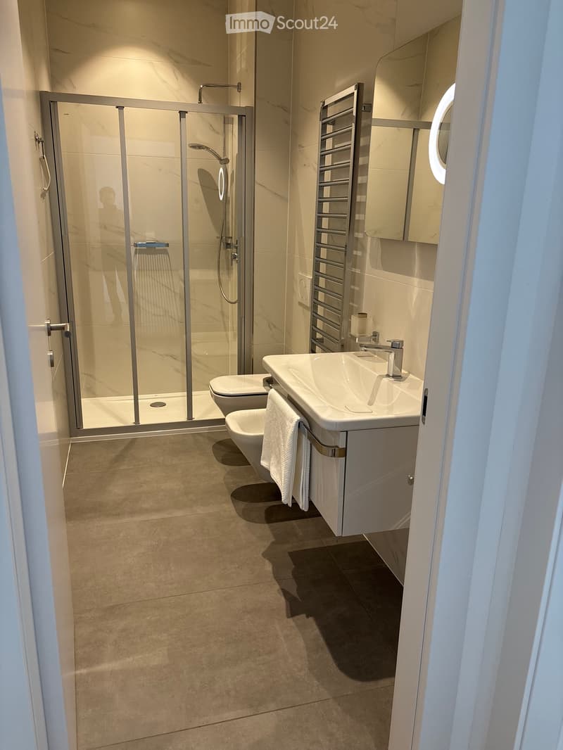Quartiere Maghetti affittasi 2.5 locali (5)
