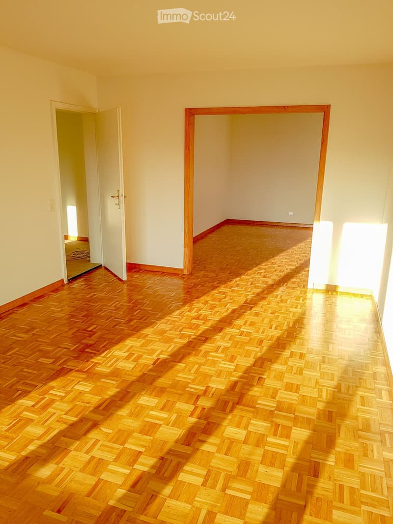 Appartamento di 4,5 locali bellissimo al Kronenplatz a Binningen (1)