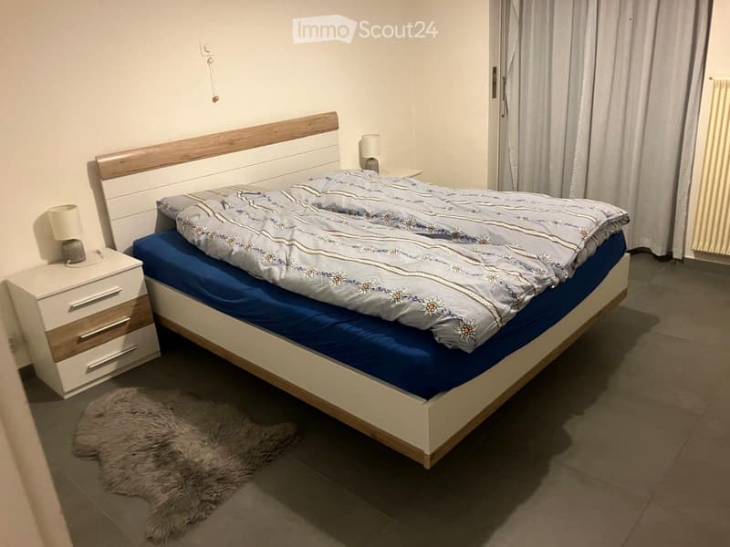Appartamento in centro a Biasca (3)