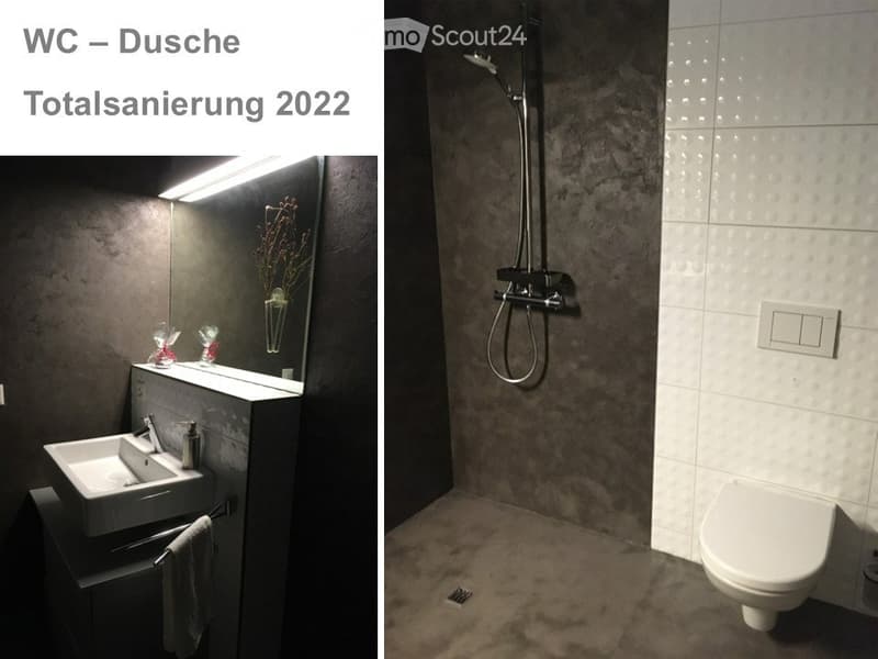 Loft unico 125 m2 vita sul lago di Walensee (2)
