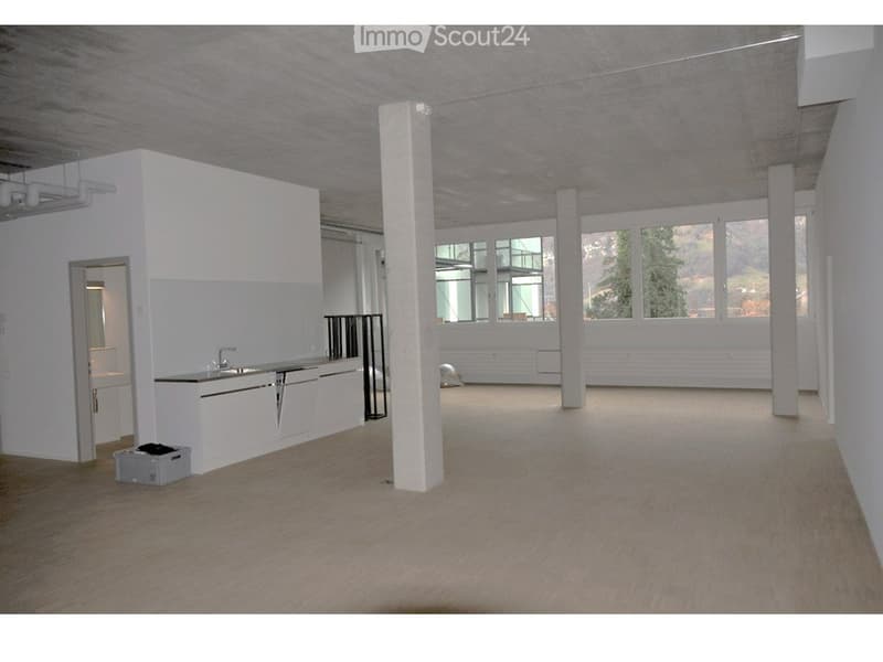Loft unico 125 m2 vita sul lago di Walensee (1)