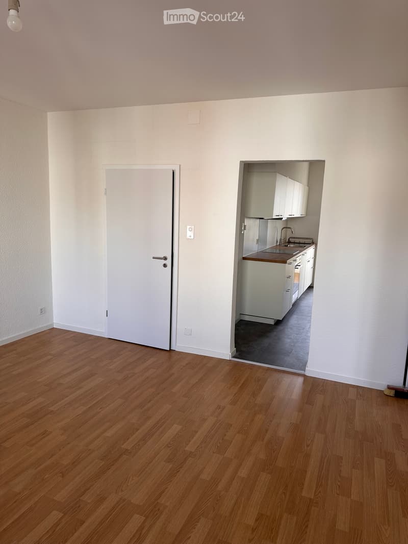 Appartement de 3,5 pièces dans un immeuble ancien à Binnigen (2)