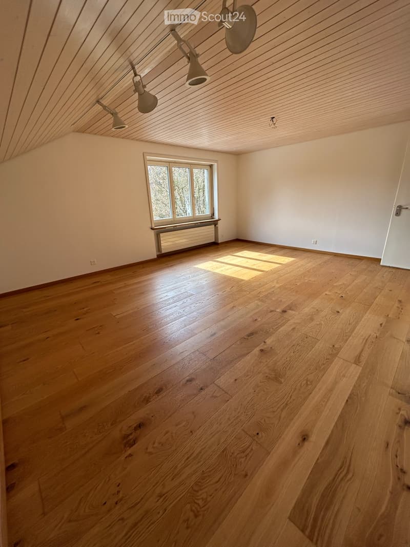 Appartamento maisonette con ingresso privato e giardino (3)