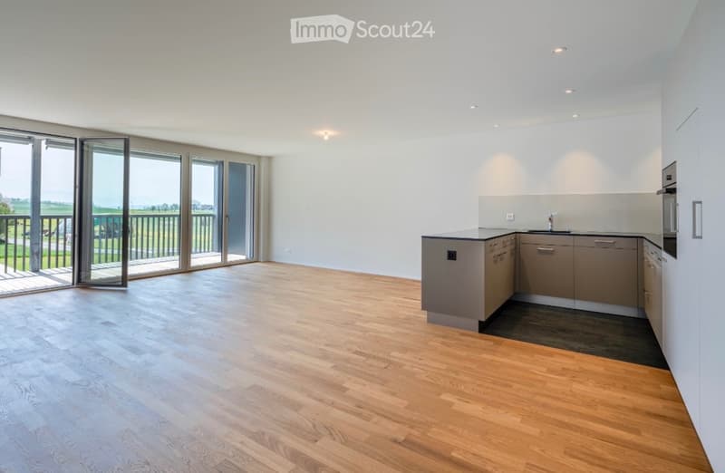 Tenant for 5.5 room apartment in Bettwil including 2 parking spaces (4)