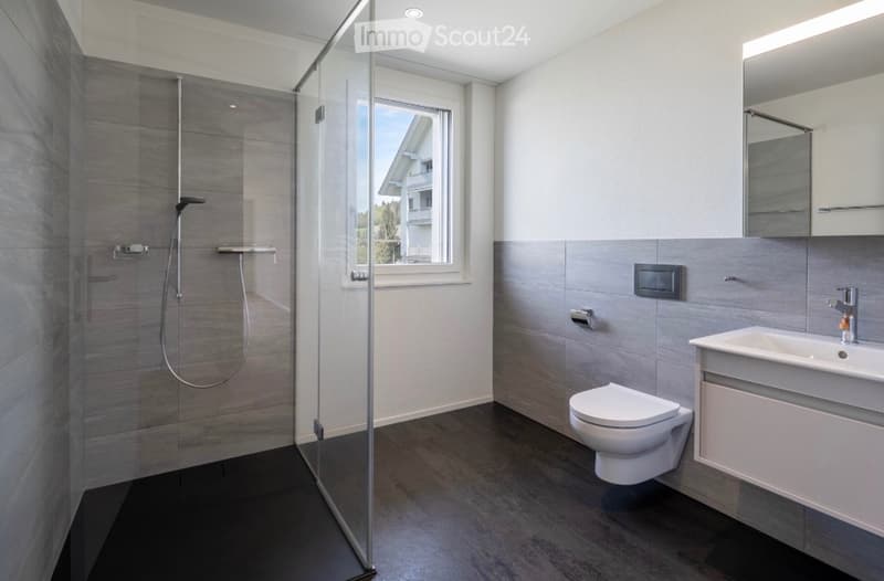 Tenant for 5.5 room apartment in Bettwil including 2 parking spaces (2)