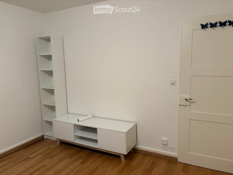 WG Zimmer 20 m2 Auch für Paare in Buchegg- Zürich (2)