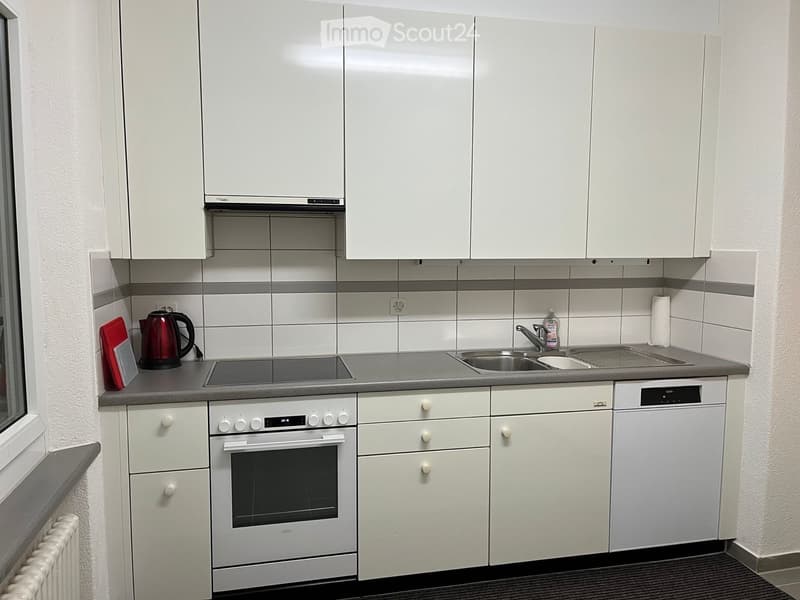 WG Zimmer 20 m2 Auch für Paare in Buchegg- Zürich (5)