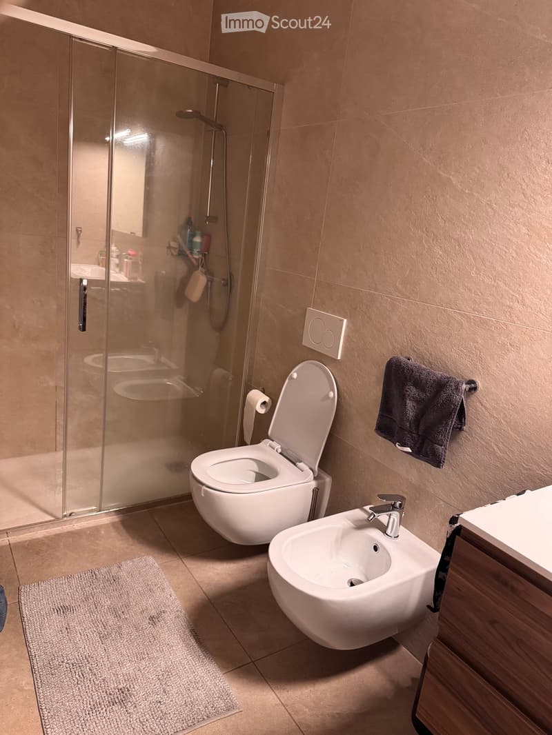 Affitasi 2,5 con giardino Pollegio (5)