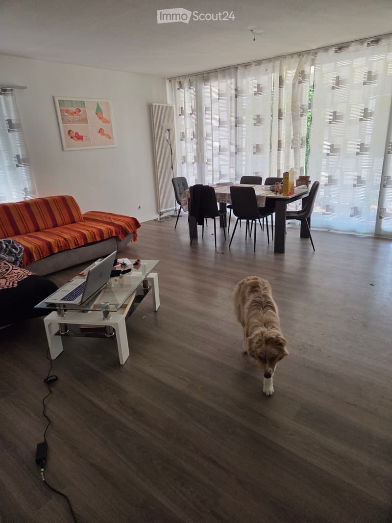 Appartamento 4.5 (2)