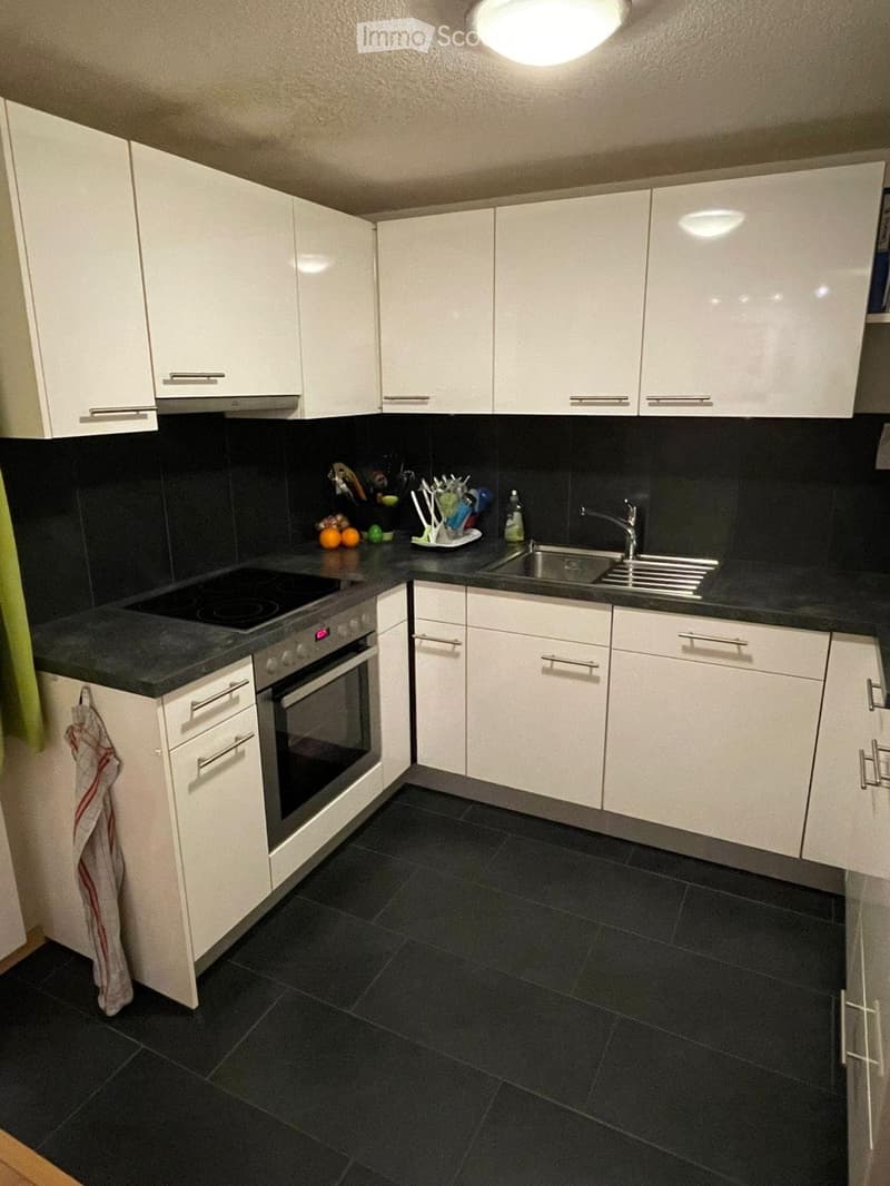 4,5 zimmer wohnung zu vermieten in rothenthurm (1)