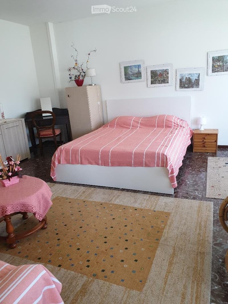 Ferienwohnung im Tessin NL-00000425 (4)