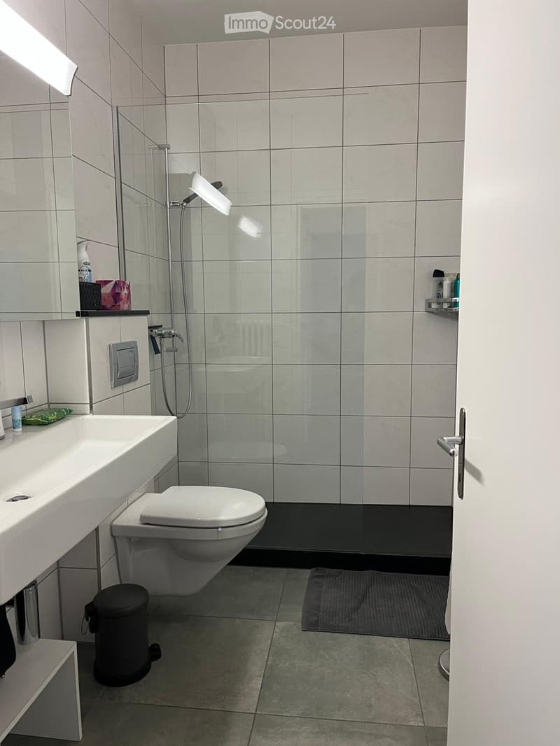 Möbilierte 2.5-Zimmer Wohnung in Losone (5)