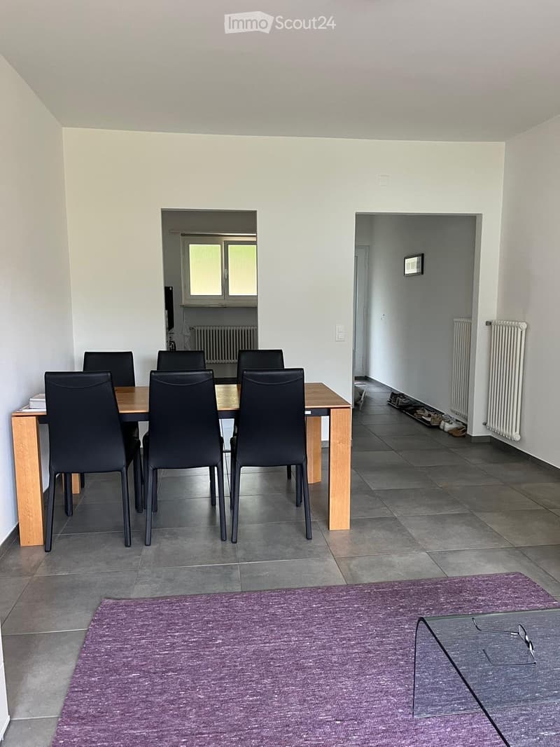 Möbilierte 2.5-Zimmer Wohnung in Losone (1)