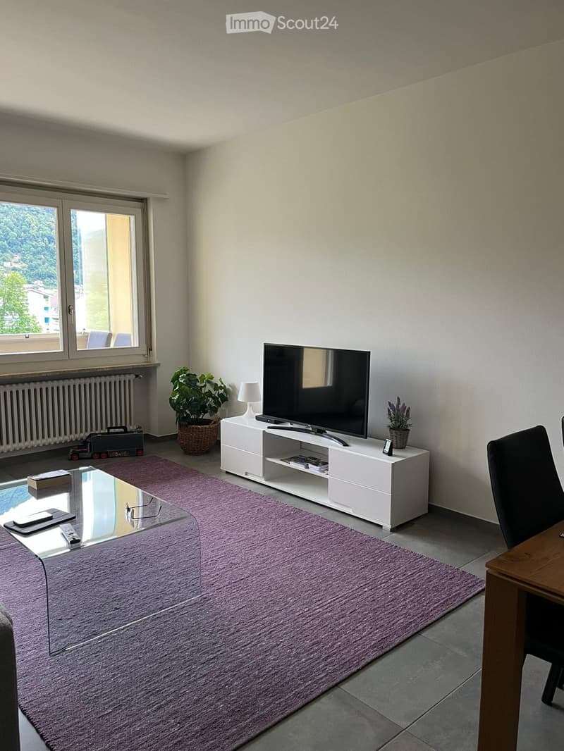 Möbilierte 2.5-Zimmer Wohnung in Losone (4)