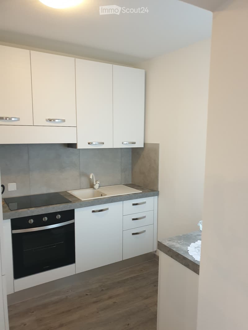 Wohnung in einem Nebengebäude mit 3.5 Zimmern (2)