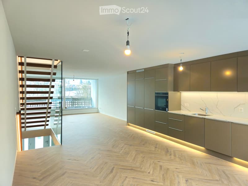 Modern corner house on the outskirts of Dietikon (1)