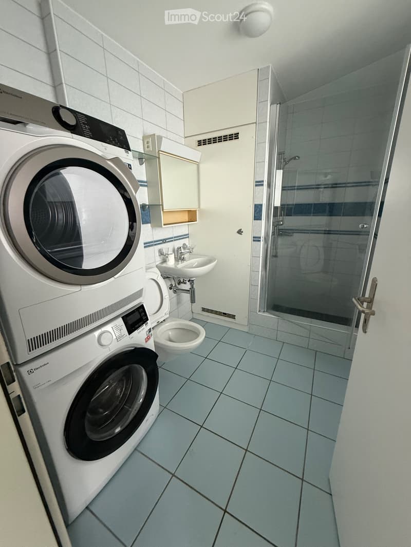 Locataire pour appartement maisonnette 5,5 pièces à Fahrwangen (2)