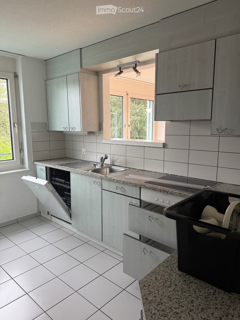 Locataire pour appartement maisonnette 5,5 pièces à Fahrwangen (1)