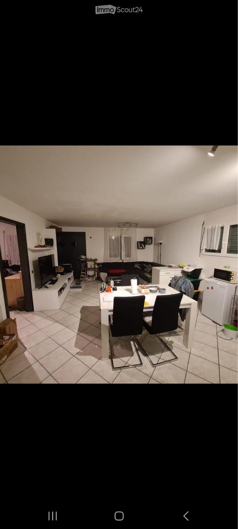 Appartamento 2.5 locali MONTE CARASSO (1)