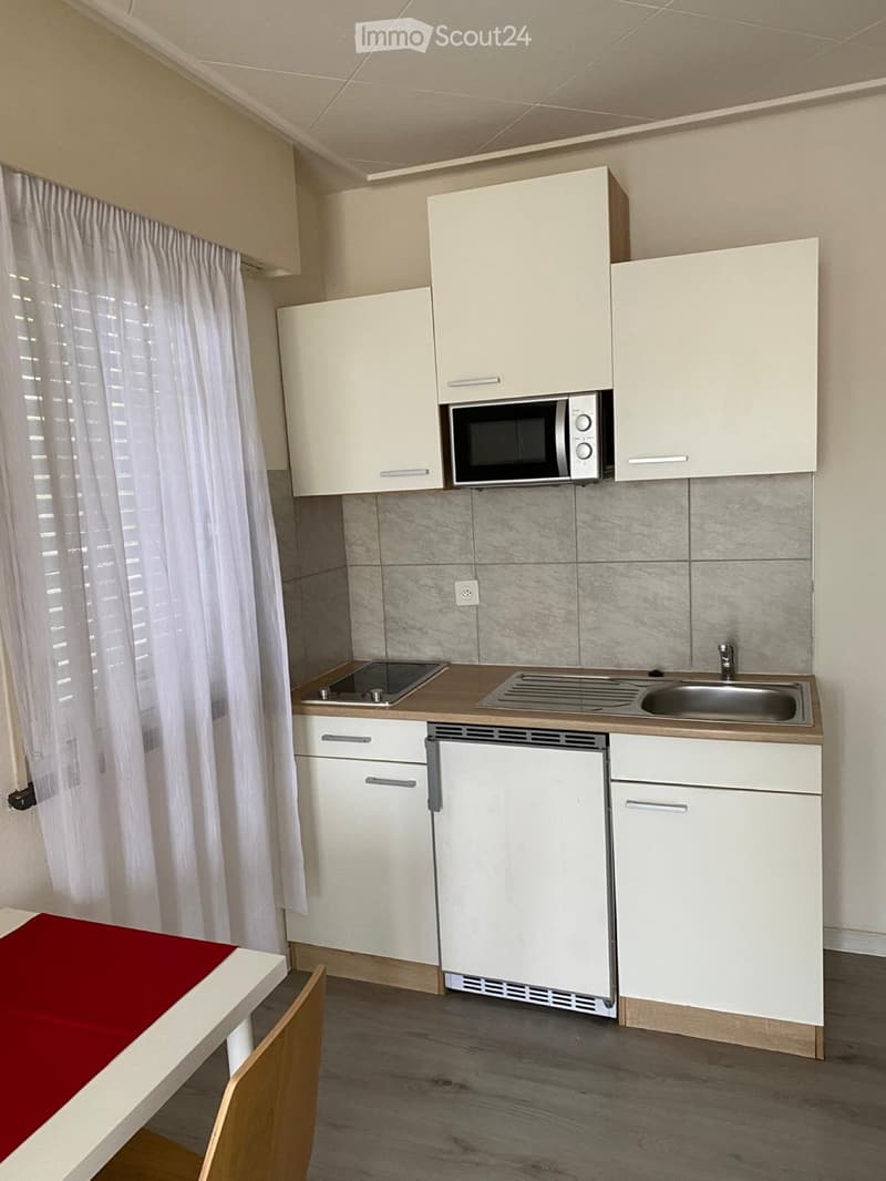 Furnished apartment with private bathroom and kitchen (3)