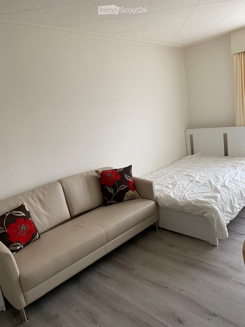 Furnished apartment with private bathroom and kitchen (2)